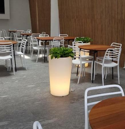 Quinto Elemento Otel Meksika Dış mekan fotoğraf