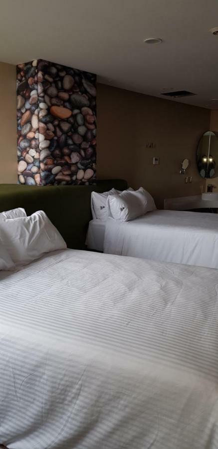 Quinto Elemento Otel Meksika Dış mekan fotoğraf